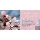 Geschenkbuch - Ich wünsche DIR Glauben