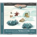 Wie Gott durch eine Schneewehe rettete (mp3 -CD)