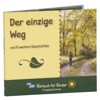 Junge auf dem Weg