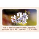 62 Bibel-Karten Geburtstagswünsche