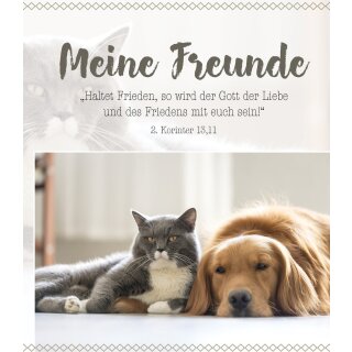 Freundebuch - Meine Freunde