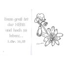 Ansicht Passionsblume mit dem Vers aus 1 Chronik 16 25