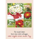 Bildcollage Gartenmotive