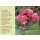 Postkarte mit Rosen