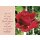Postkarte mit roten Rosen