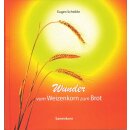 Weizenhalm in der Sonne