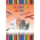Malbuch mit Tierbabysmotive in Englisch