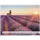 Metalltafel Lavendelfeld