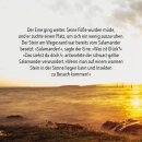 Für einen besonderen Wunsch - Geldscheinbox