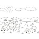 Ansicht kleine Schäfchen auf der Weide