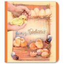 Pappbuch - Behütet