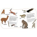 Pappbuch - ABC
