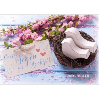 Doppelkarte Vogelnest