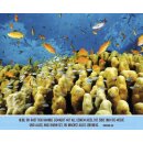 Postkartenaufstellbuch Shalom für Israel