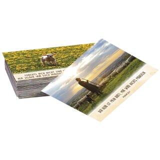 100 Neujahrslose Schafe