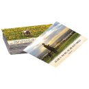 100 Neujahrslose Schafe