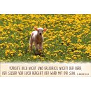 Kärtchen mit Lämmchen auf der Wiese