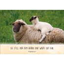 Kärtchen mit Schafsmutter und Lämmchen