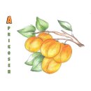 Eine bemalte Seite des Malheftes