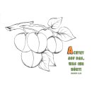 Eine unbemalte Seite des Malheftes