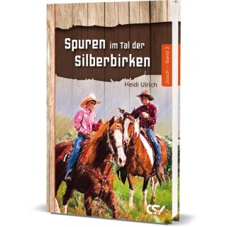 Buch Spuren im Tal der Silberbirken