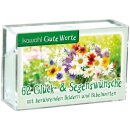 Klarsicht box mit 62 Glück- &...