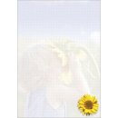 Leeres Punktiertes Blatt vom Block