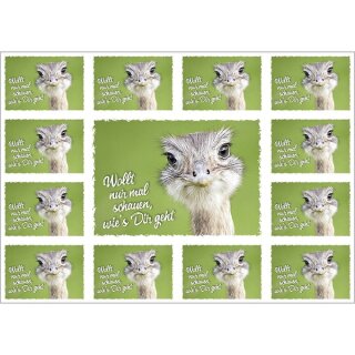 Aufkleber Grußkarte - Wollte nur mal schauen