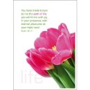 Postkartenserie Tulpe - 12 Stück