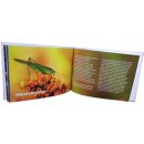 Ansicht eines Bildes aus dem Buch Der uns mehr lehrt als...