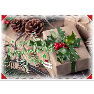 Postkarte - Zwei Zapfen