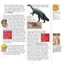 Entdecke Gottes Plan mit dieser Welt