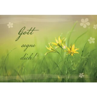 Faltkarte - Gott segne dich!