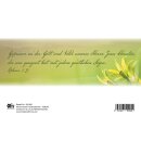 Faltkarte - Gott segne dich!