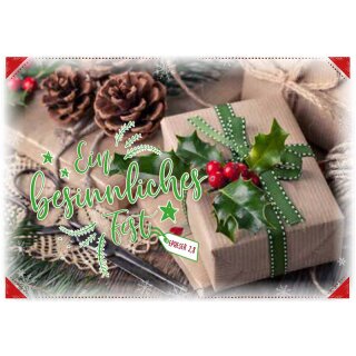 Faltkarte - Zwei Tannenzapfen