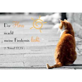 Motivkärtchen mit Katzenmotiv