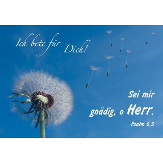 Motivkärtchen mit Pusteblumenmotiv