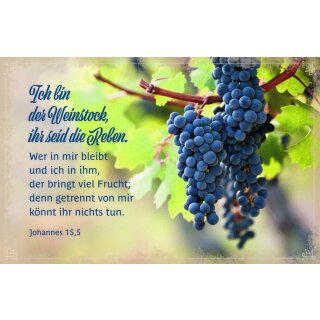 Faltkarte - Joh 15, 5
