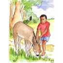 Kouakou und die rennenden Kobos