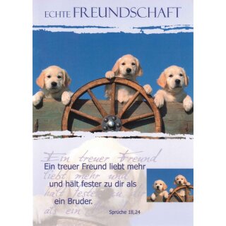 Postkarte - Hunde am Wagenrad