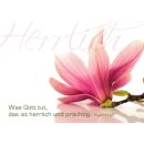 Postkarte - Magnolie