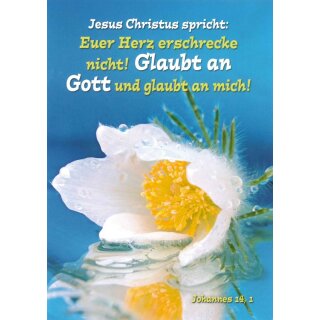 Postkarte - Seerose - Joh 14, 1