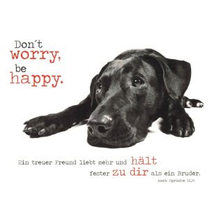 Postkarte - Labrador