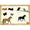 Ansicht weiteren Tiere aus der Arche