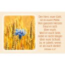 62 Karten - Lichtblicke