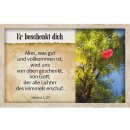 62 Karten - Survival-Kit