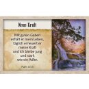 62 Karten - Survival-Kit