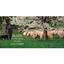 Grußheft Du hältst mich fest (mit DVD)