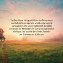 Blühende Worte - 50 x Ermutigung für dich