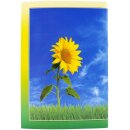 Обратнайа сторона тетради Это Бог всё так устроил